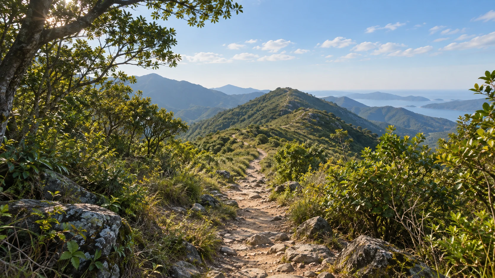 香港西贡北潭涌一月底的郊野林地，常绿次生林与低矮灌丛，中央土石山径由林荫通往舒缓山肩，枝叶明暗层次清晰，冬季柔和日光，不出现蛇或新年装饰、未核实的海滩机位