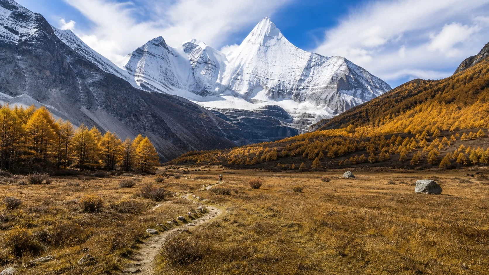 亚丁高山草甸