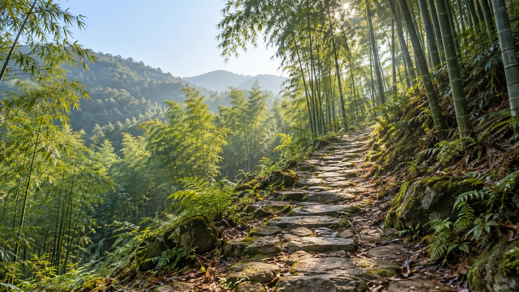 竹林山谷中的古道意象