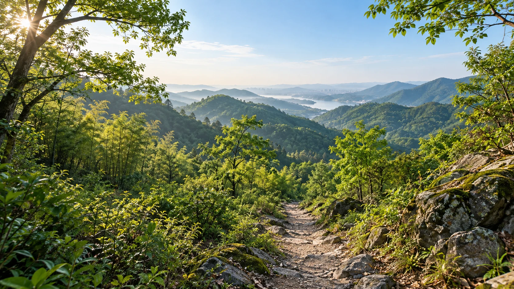 浙江杭州山地五月，温润亚热带常绿阔叶林与零星竹丛，浅灰碎石土径从正中央下方通向绿色林谷，新叶嫩绿，晨光穿过疏朗树冠；仅作杭州区域森林意象，不指定具体青华山峰形，不画高海拔雪山