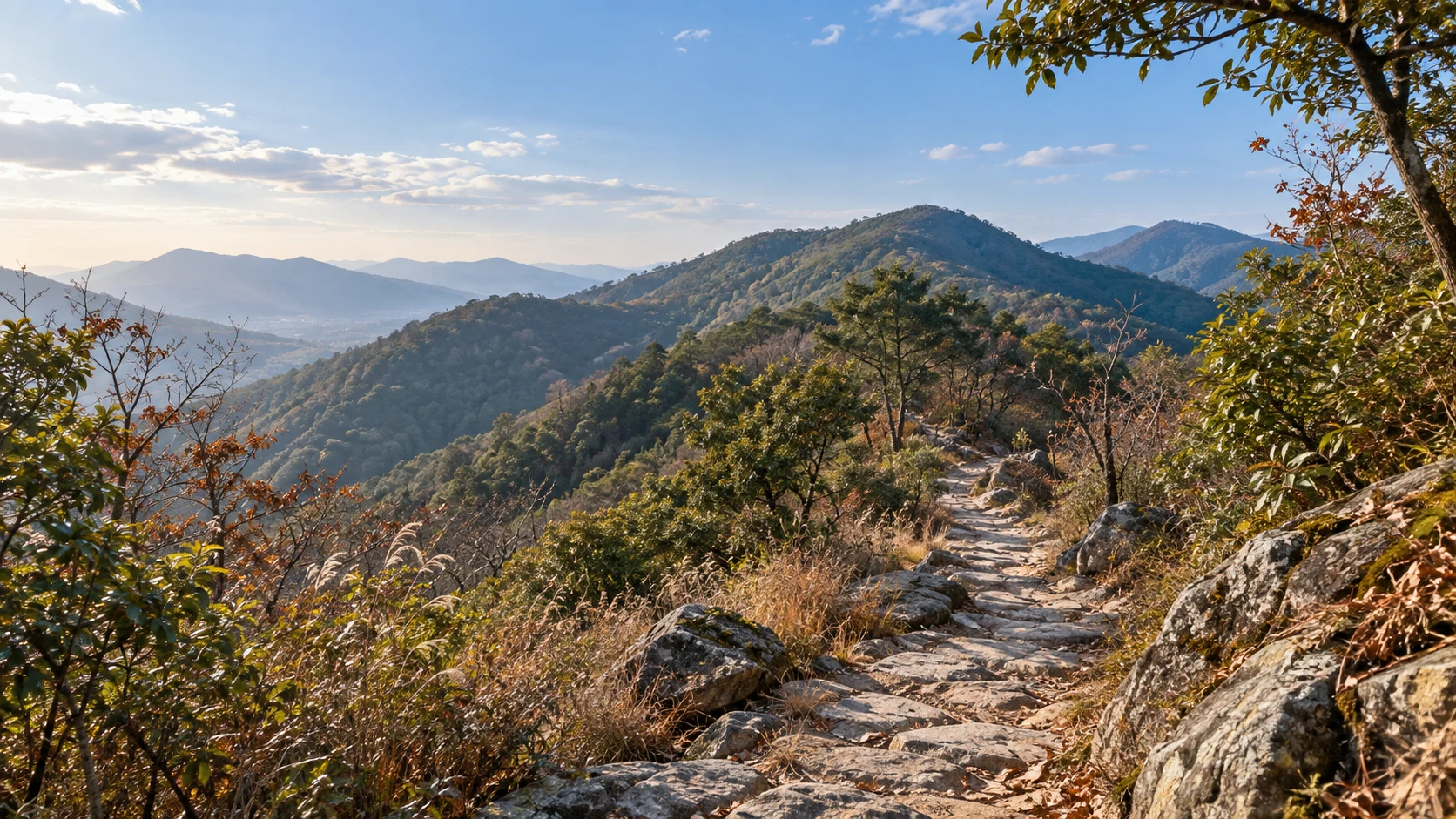 浙江绍兴上虞龙山兰芎山地区十二月底，江南低丘常绿林、冬季褐色落叶与低草，中央灰石山间步道穿过疏朗林隙，后景圆缓森林山丘，清透冬日午后阳光，无雪山、寺庙和未经证实的建筑