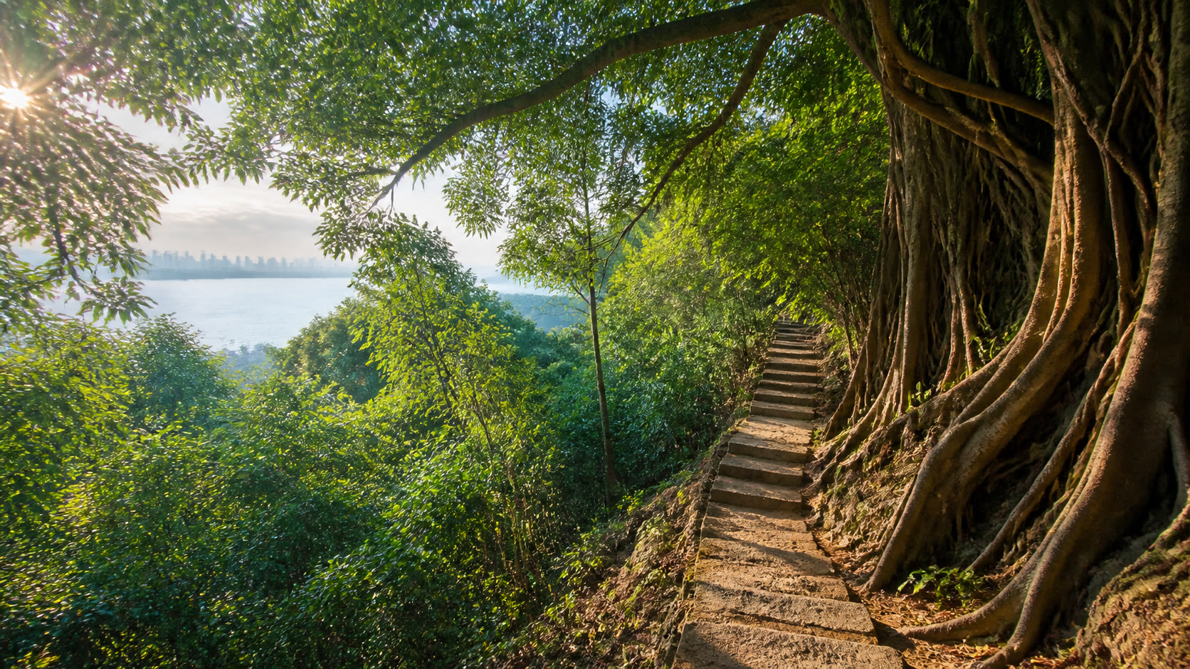 Hike赛事封面