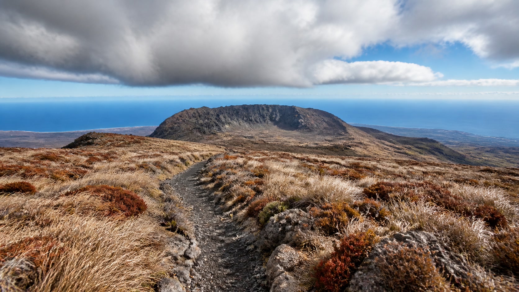 TransJeju by UTMB 赛事代表图