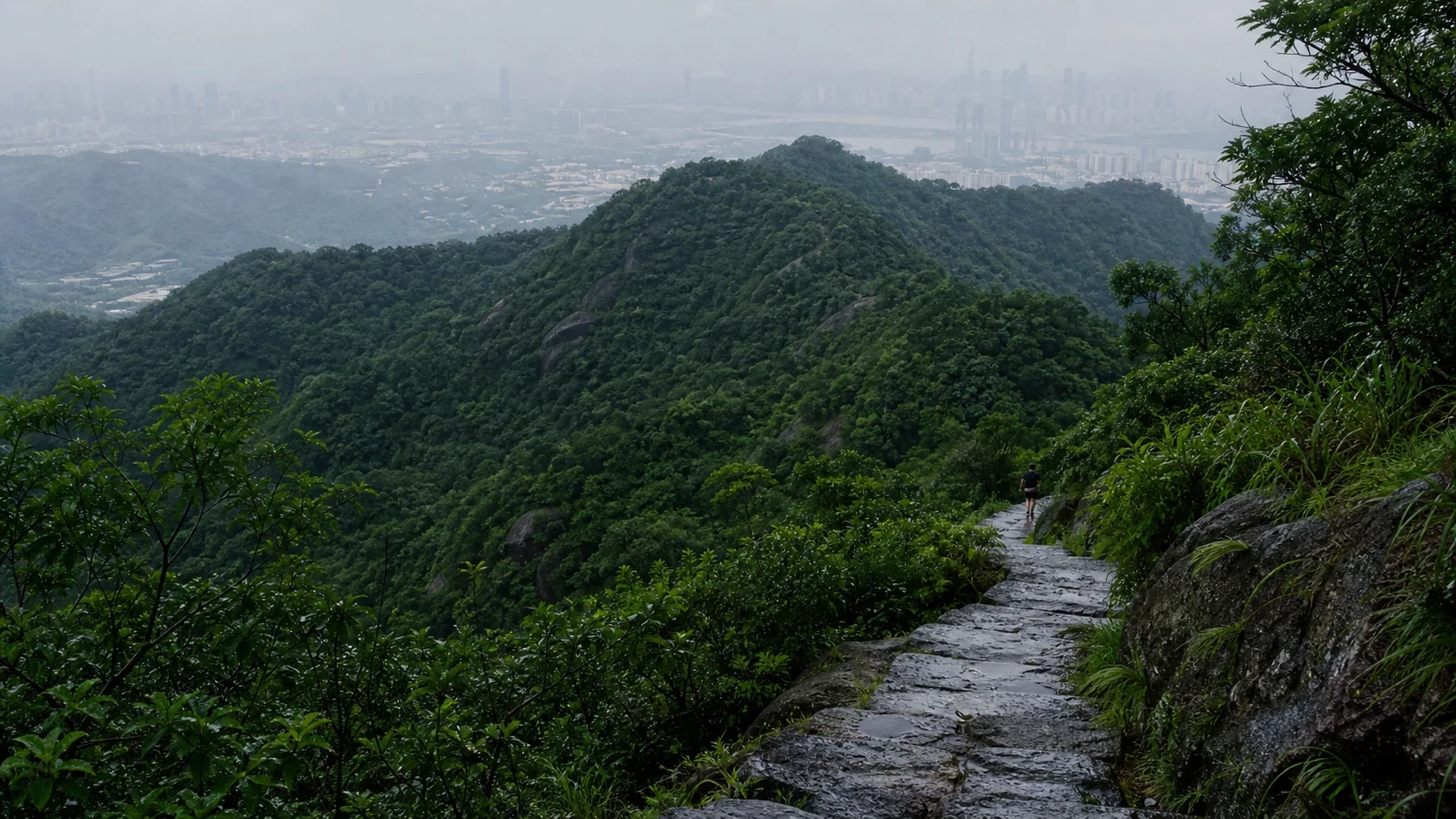 广州城市山林