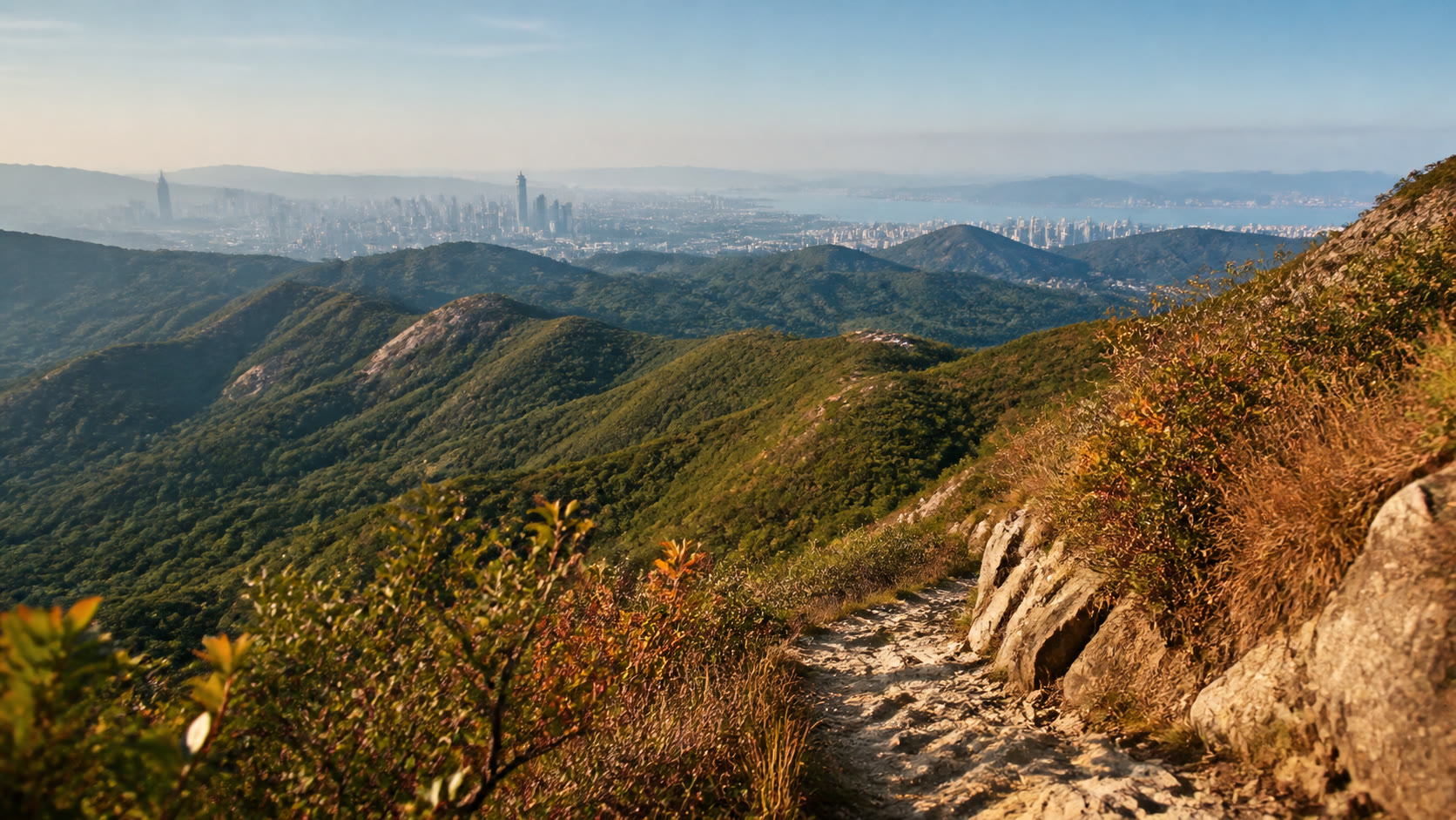 UTSZ Autumn Trail Races赛事封面