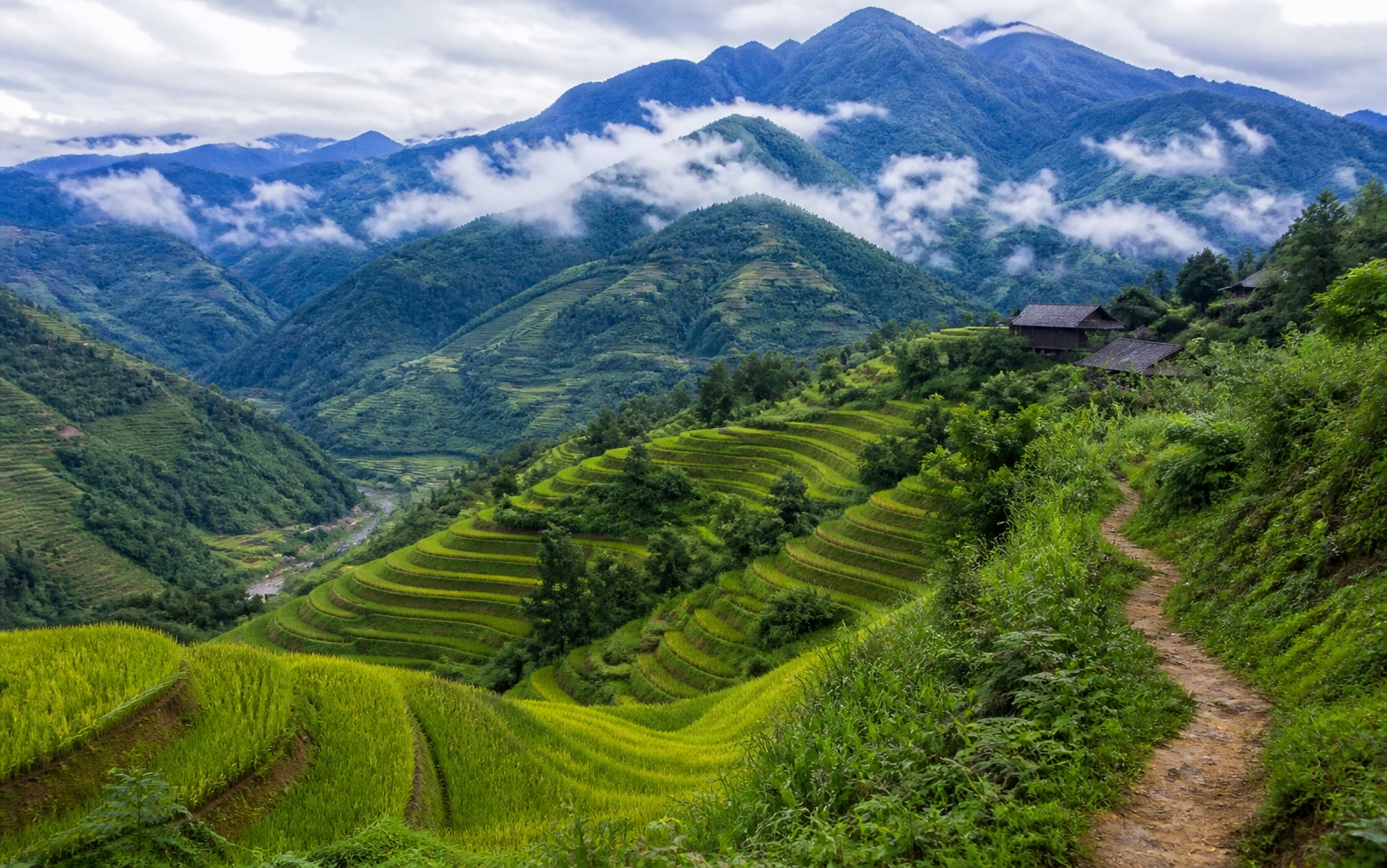 Vietnam Mountain Marathon 赛事代表图